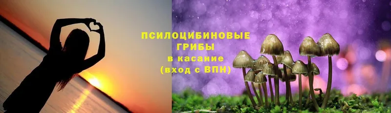 кракен tor  Ленинск-Кузнецкий  Галлюциногенные грибы MAGIC MUSHROOMS 